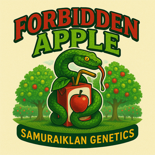 FORBIDEN APPLE