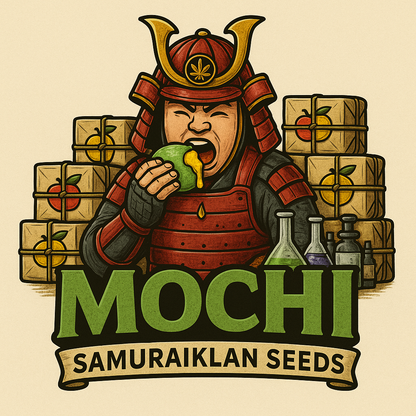 MOCHI