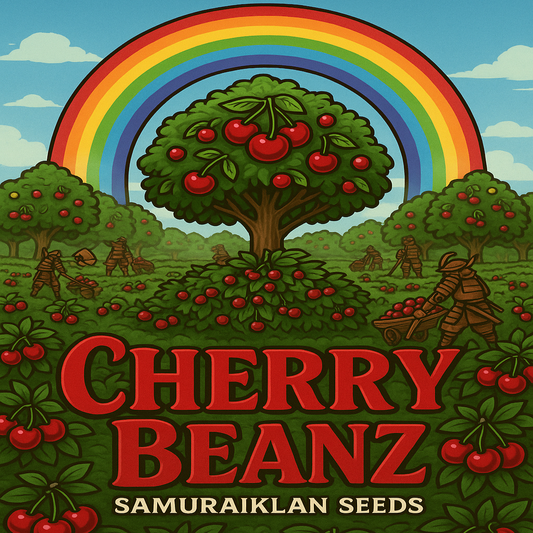 CHERRY BEANZ