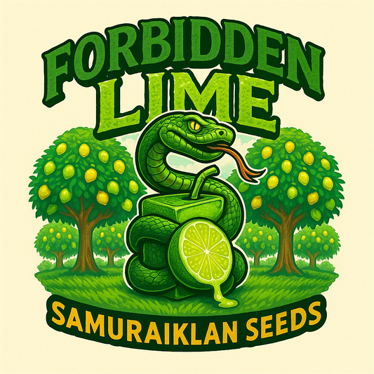 FORBIDDEN LIME